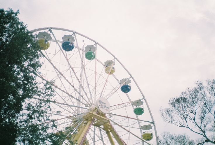 a ferris wheel in an amusement park on a cloudy day with lots of trees around it