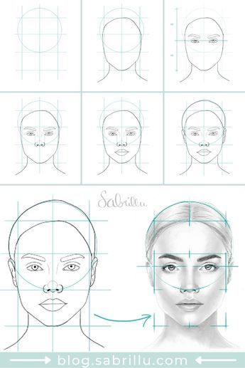 how to draw the face for beginners with this step - by - step guide