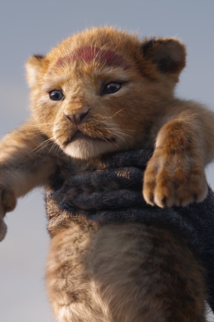 the lion cub from disney's live - action movie is shown in this undrecognized image