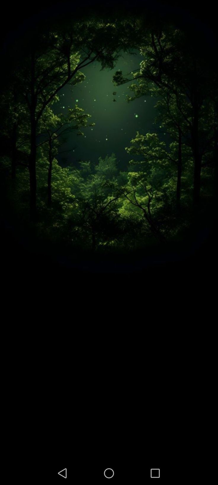 the dark forest is lit up at night