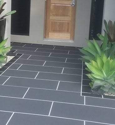 the front entrance of a house with two plants on either side and a wooden door