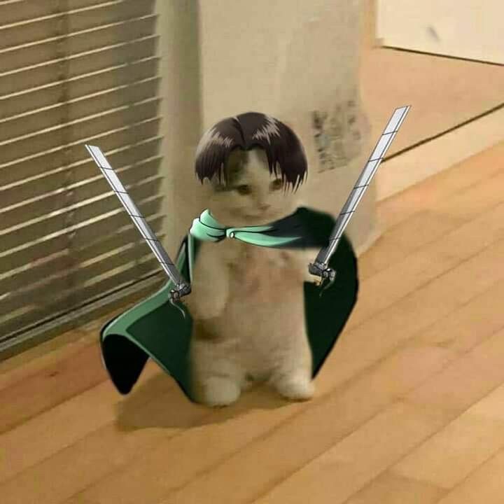 a cat sitting on the floor with two swords in it's mouth and wearing a green collar