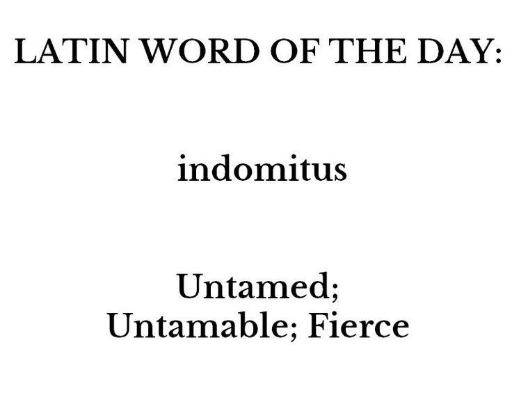 latin word of the day indomitus untamble / fierce