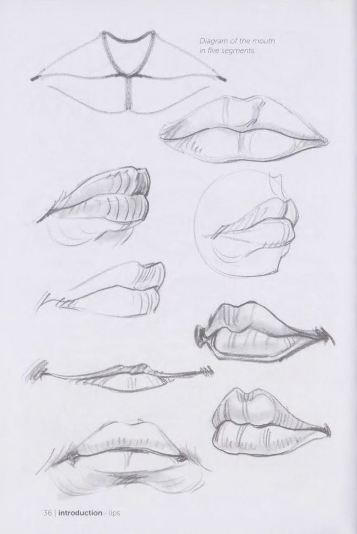 a drawing of different shapes and sizes of lips