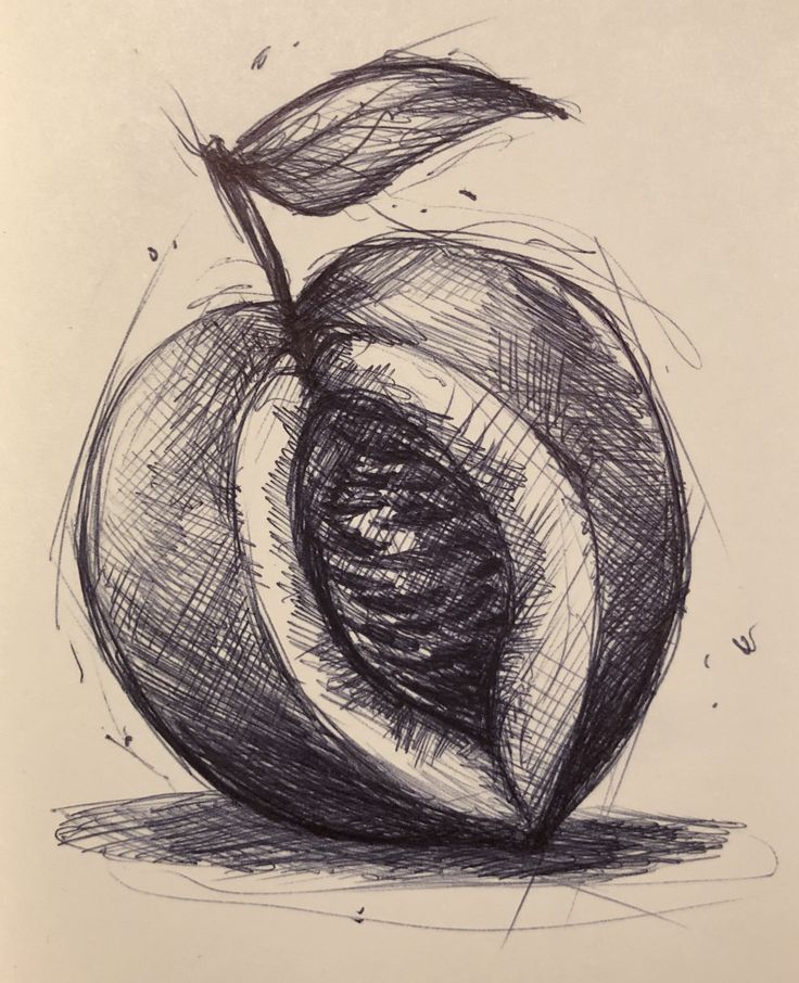 a drawing of an apple with a leaf sticking out of it