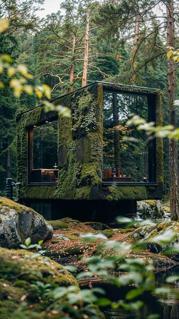 a house in the woods with moss growing on it's walls and windows, surrounded by trees