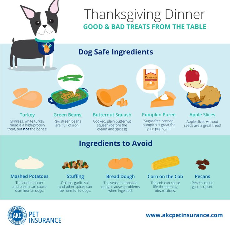 the thanksgiving dinner info sheet shows what to eat and how to prepare it for your dog