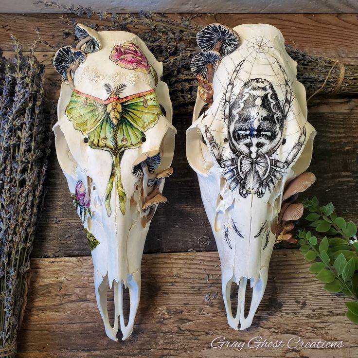 two cow skulls with designs on them sitting next to some dried lavenders and other plants