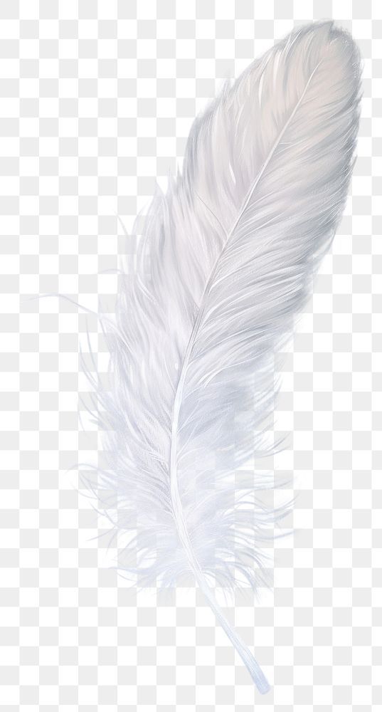 a white feather on a transparent background