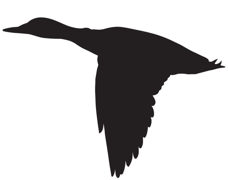 a black and white silhouette of a duck flying in the air with its wings spread