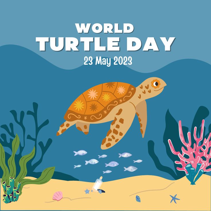 a turtle swimming in the ocean with corals and other marine life around it, which reads world turtle day 29 may