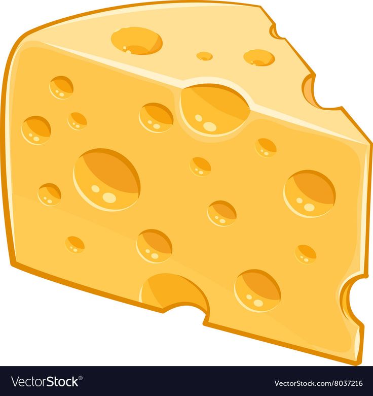 a piece of cheese on a white background