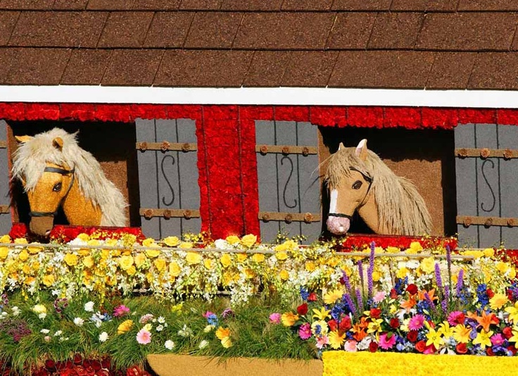 two horses are looking out the windows of a flowered garden with flowers in it