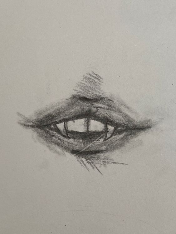 a pencil drawing of an eye