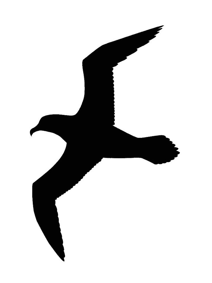 a black and white silhouette of a seagull flying in the sky with its wings spread