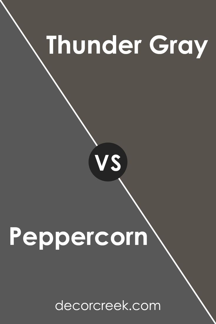 Peppercorn SW 7674 by Sherwin Williams vs Thunder Gray SW 7645 by Sherwin Williams Sw Thunder Gray, Thunder Gray Sherwin Williams, Sherwin Williams Thunder Gray, Worldly Gray, Kinds Of Colors, Statement Wall, Warm Undertone, Deep Gray, Dark Shades