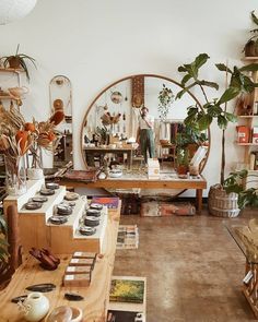 a room filled with lots of potted plants next to a wooden table and mirror