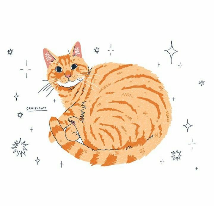 an orange and white cat sitting on top of stars