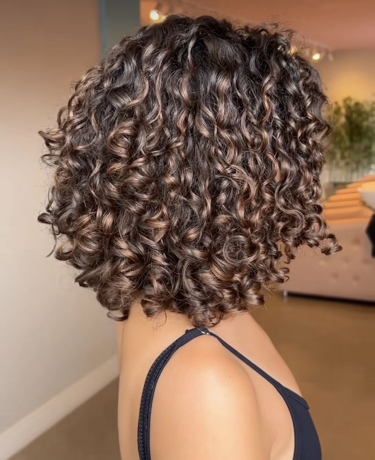 Curly Subtle Highlights, Short Brown Curly Hairstyles, Brown Highlights In Curly Hair, Short Curly Hair From The Back, Curly Short Highlights, Shoulder Length Curly Hair Highlights, Low Light Curly Hair, Lowlights For Brown Curly Hair, Highlights For Curly Hair Natural Curls Ombre Dark Brown Black