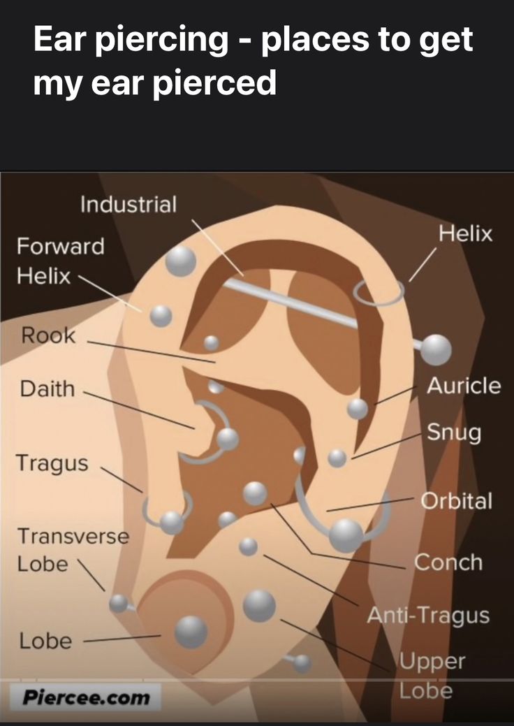 ear piercing - places to get my ear pierced by plexe com on devisy