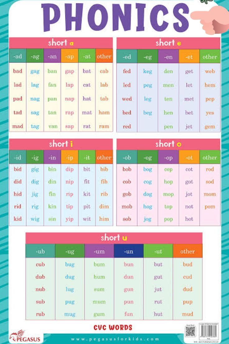 the phonics chart is shown with words and pictures on it, which include different types