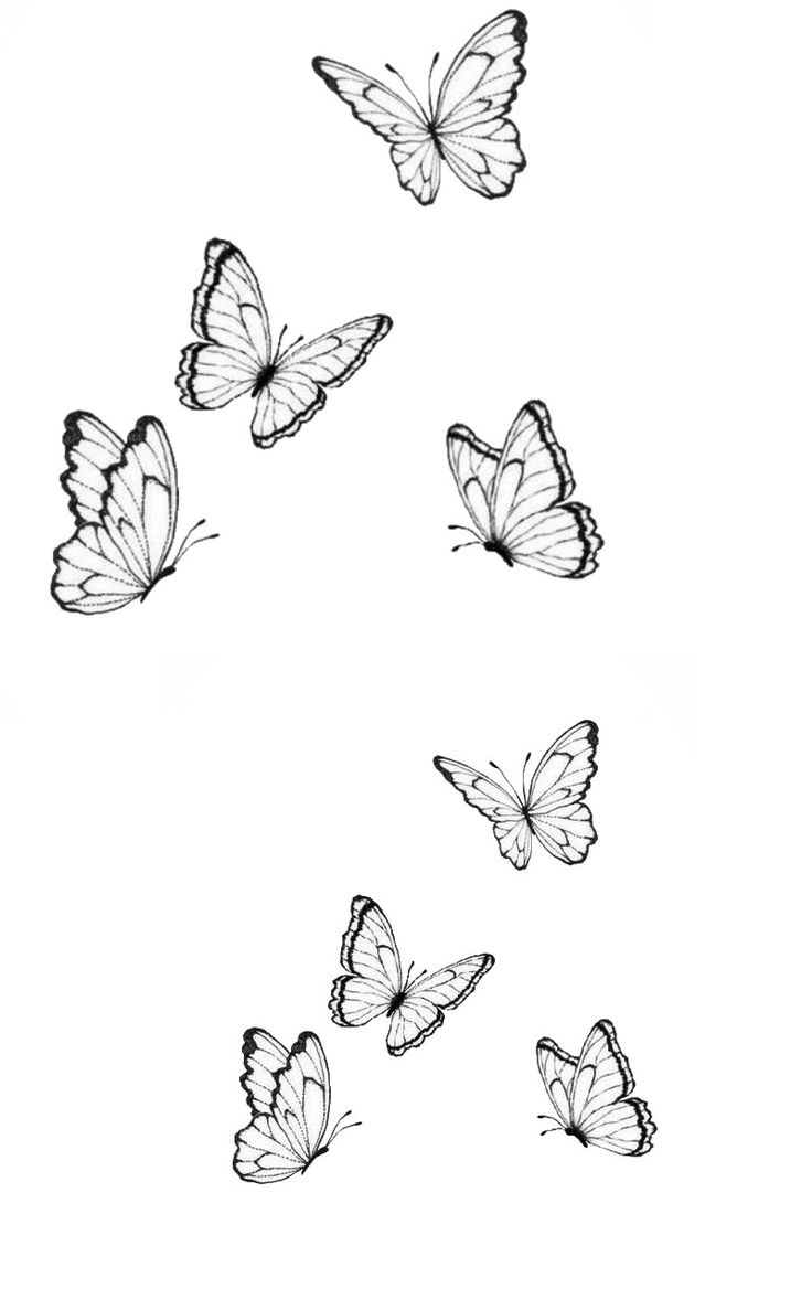 several butterflies flying in the air with black and white ink on paper, each one being drawn