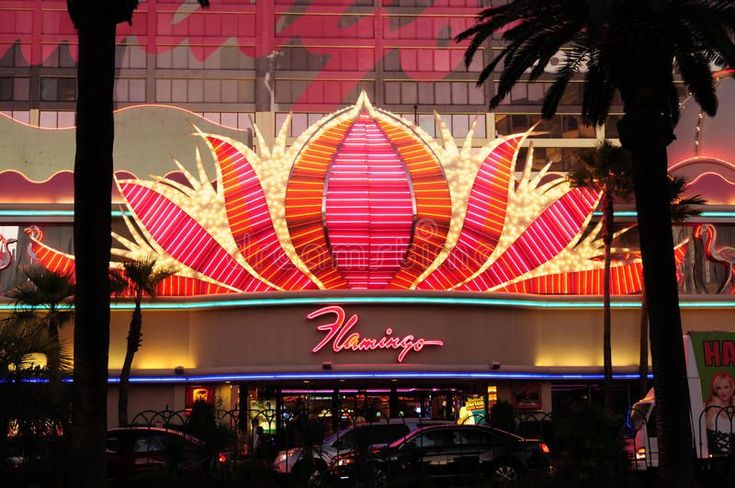 the neon sign for flamingo casino in las vegas