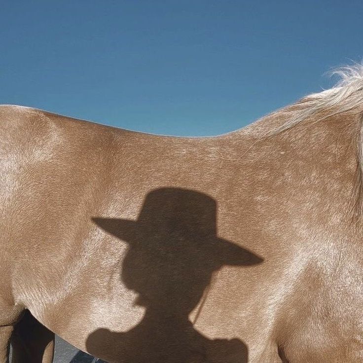 the shadow of a horse's hat on its back is cast by a person