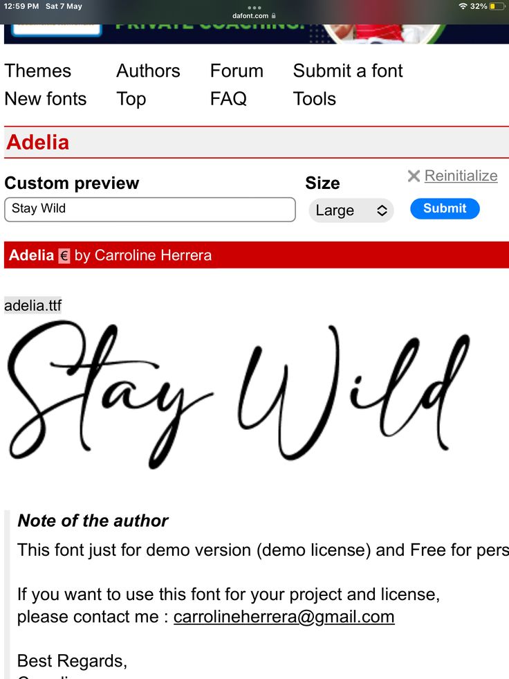 an email form with the words stay wild written in cursive writing on it