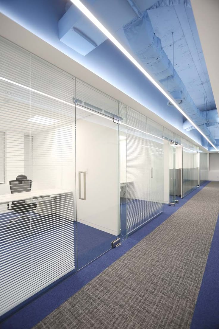 an empty office with glass walls and blue carpet