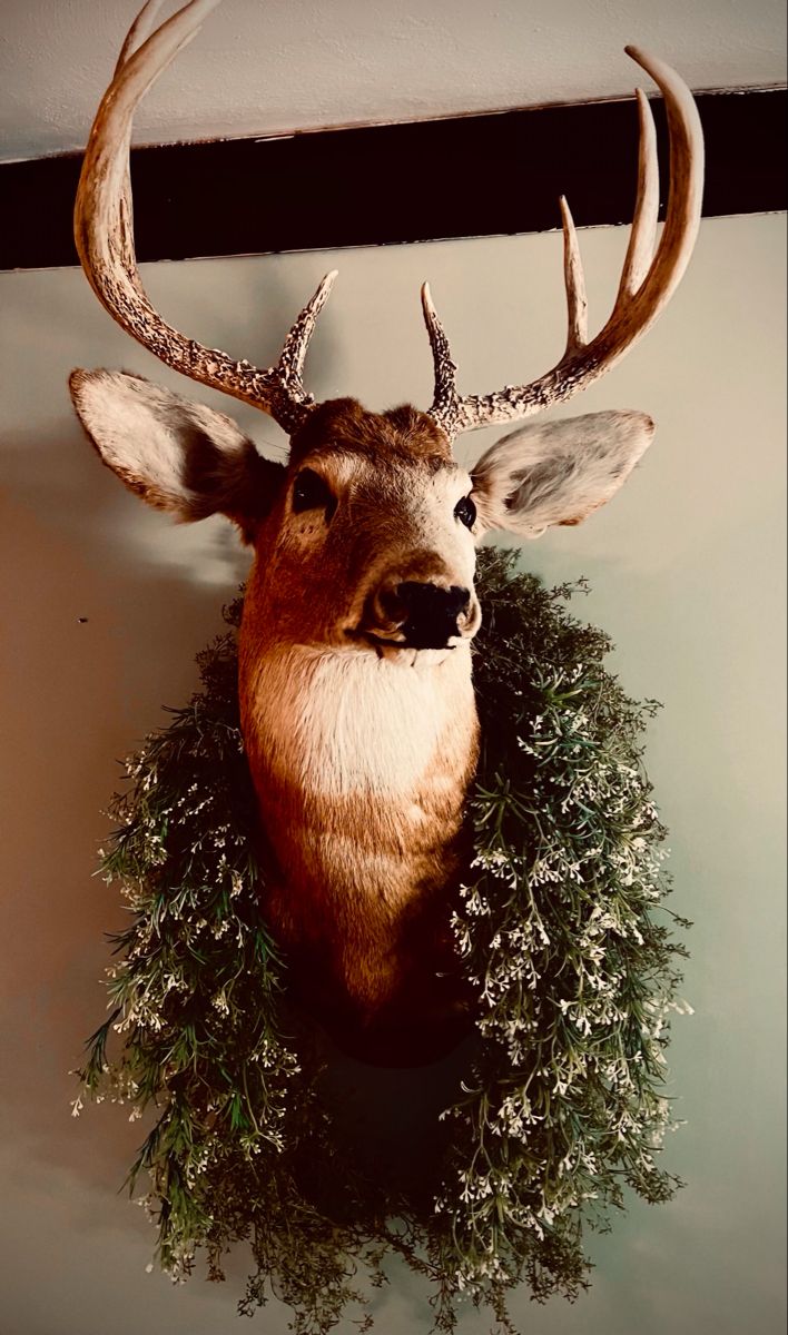 a deer's head mounted on the wall with fake greenery around its neck