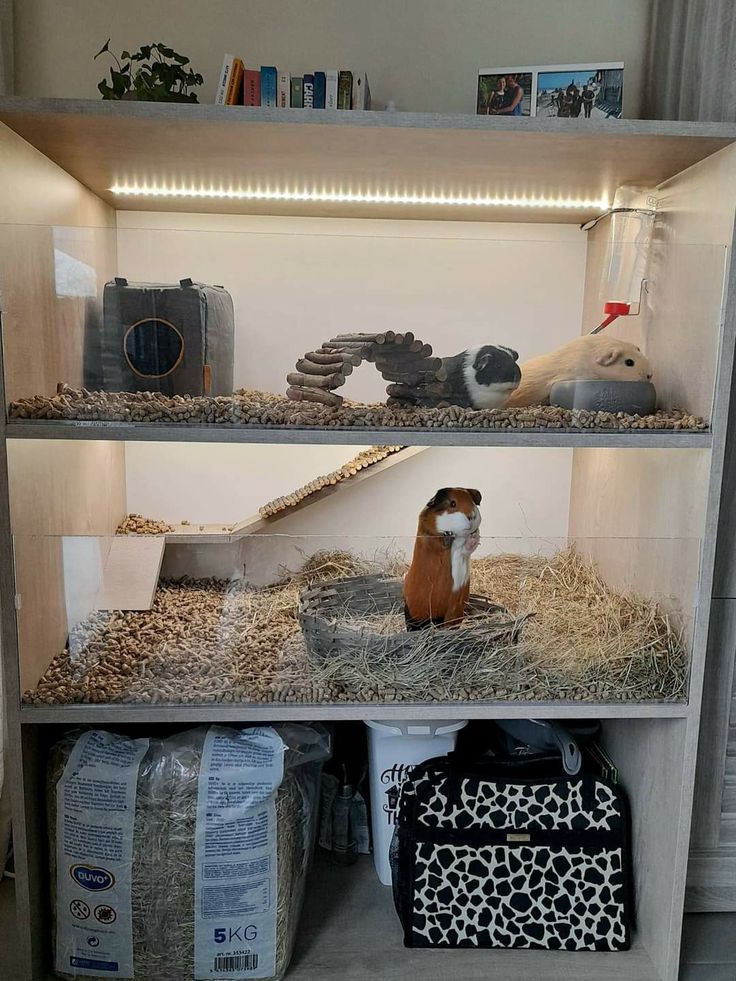 a shelf filled with lots of different types of animals