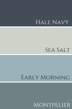 four shades of gray and white with the words sea salt, early morning, montpelier