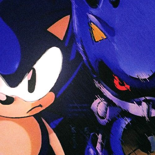 an image of sonic the hedgehog and shadow the cat