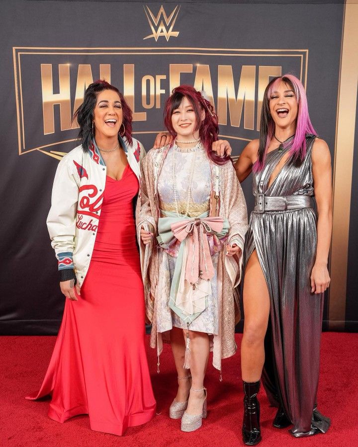 three women standing on a red carpet in front of a sign that says hall of fame