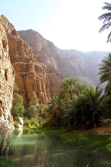 the river is surrounded by palm trees and rocky mountains in the distance, with green vegetation growing on both sides