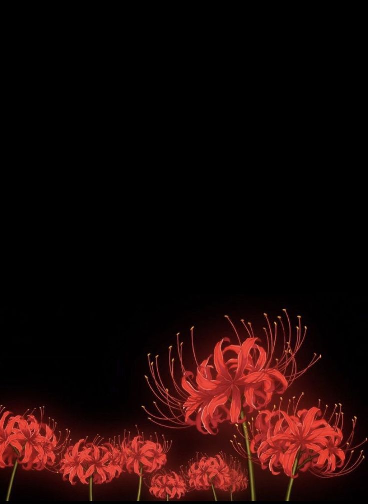 some red flowers in the dark on a black background