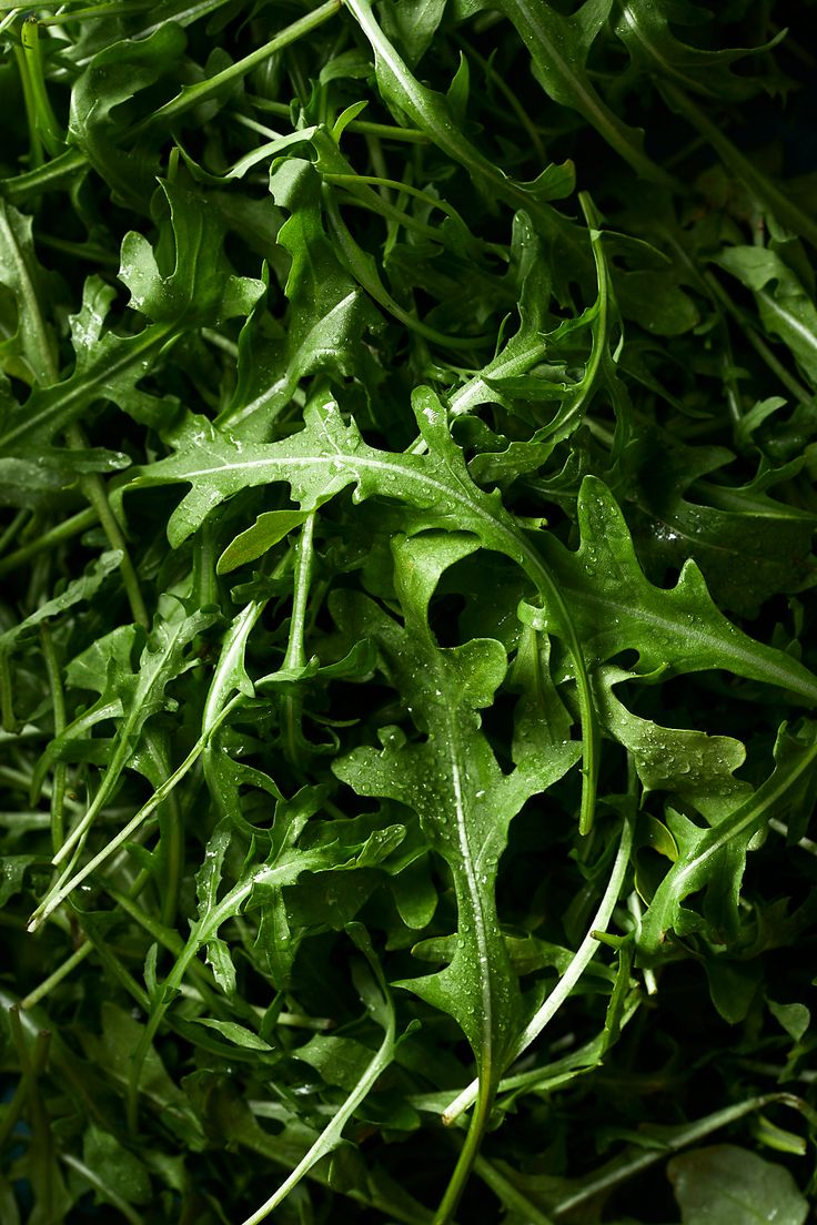 some green leaves are laying on the ground