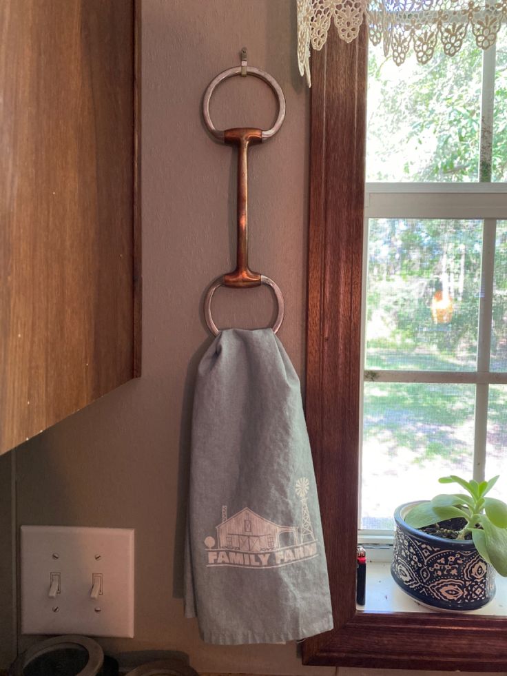 a towel hanging on the wall next to a window with a potted plant in it