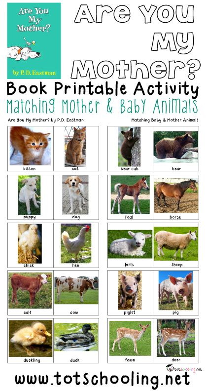 a poster with pictures of animals and their names on it's front page, which reads are you my mother? book printable activity matching mother & baby animals