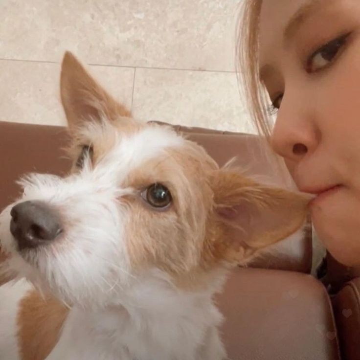 a small white and brown dog sitting next to a woman