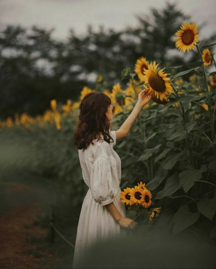 Sunflower Field Pictures, Sunflower Photoshoot, Calming The Storm, Flower Photoshoot, Sunflower Pictures, Sunflower Fields, Portrait Photography, Sunflower, Flowers