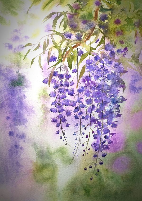 a painting of purple flowers hanging from a tree