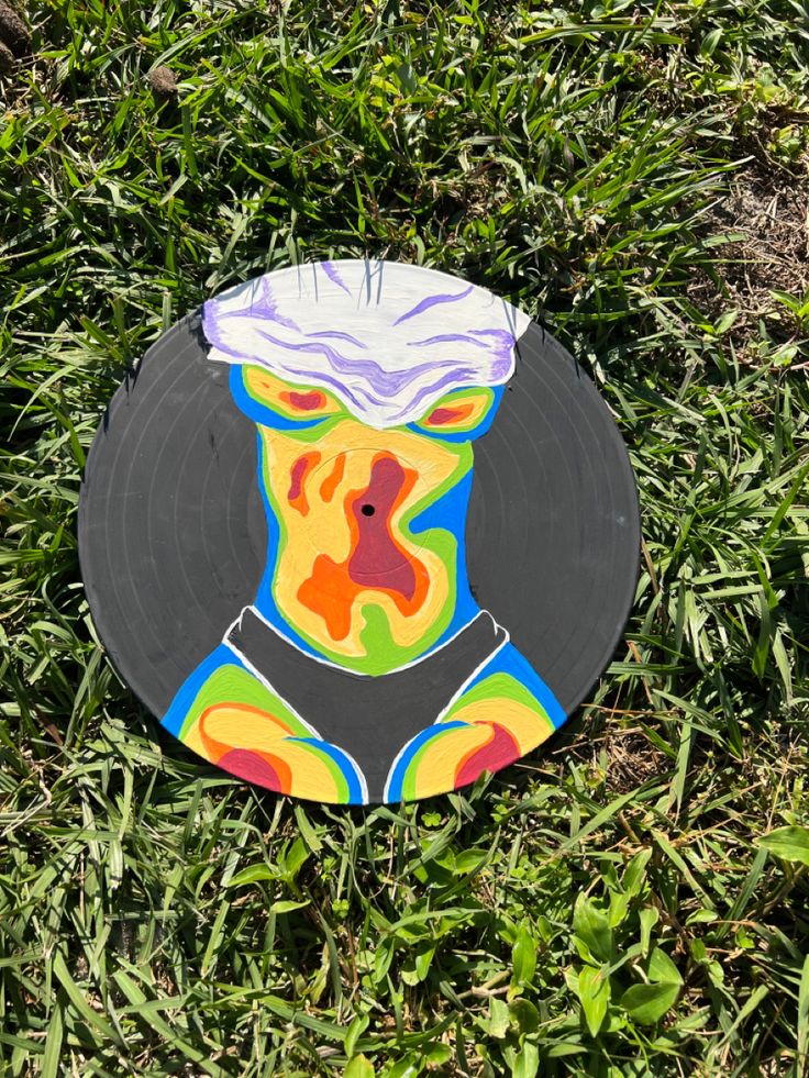 a frisbee that is laying in the grass with a painting on it's side