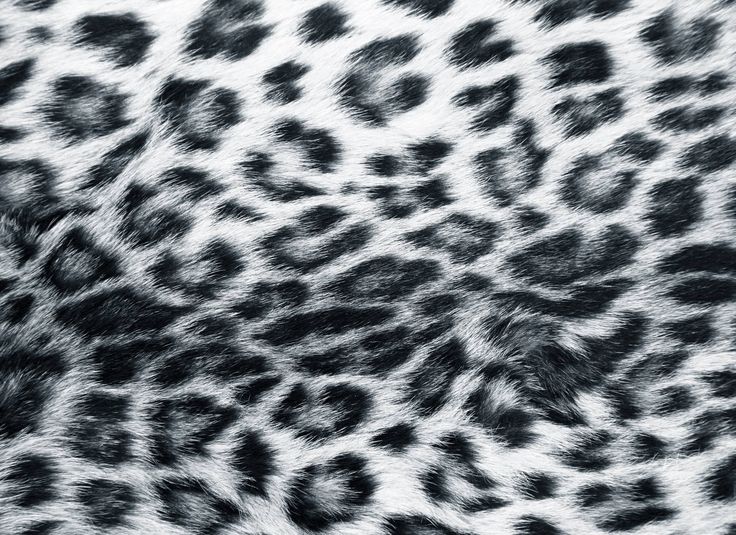 an animal print pattern is shown in black and white, as well as the fur