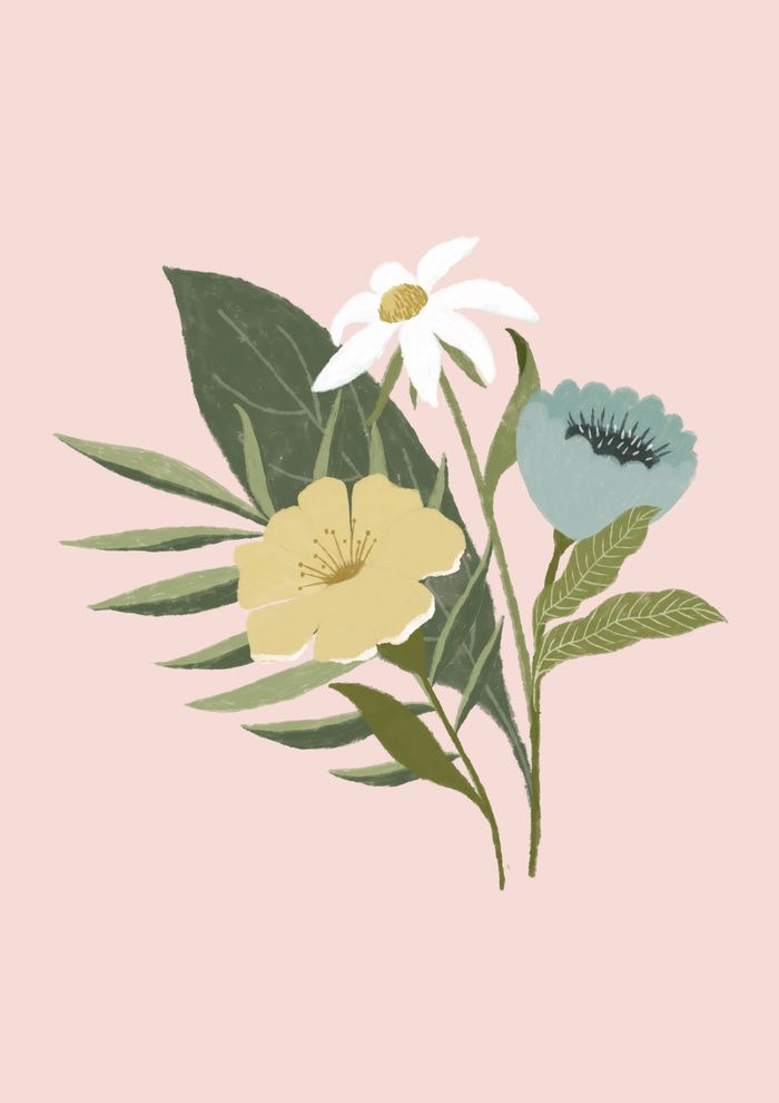 three flowers on a pink background with green leaves and one flower is blue, yellow and white