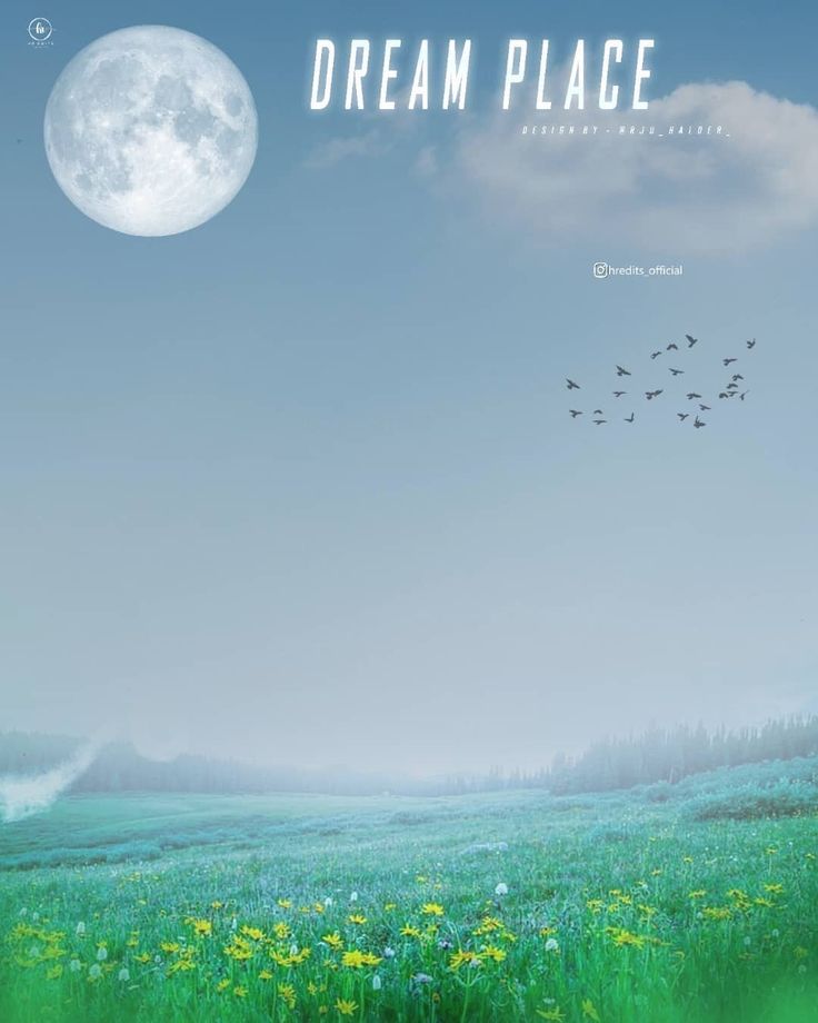 an image of a field with birds flying in the sky above it and a full moon