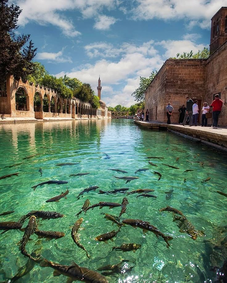 many fish are swimming in the clear blue water near an old building and stone walls