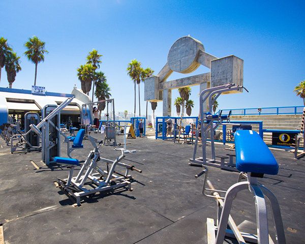 an empty gym with palm trees in the background