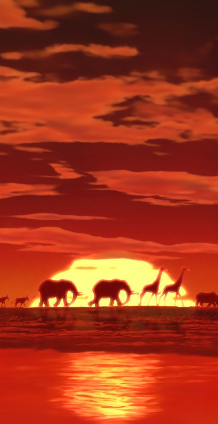 a group of animals walking across a body of water under a red sky at sunset